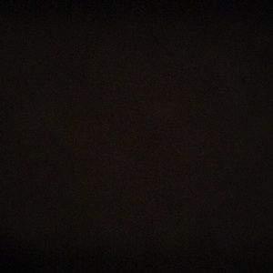 Meet your Posher, Paityn